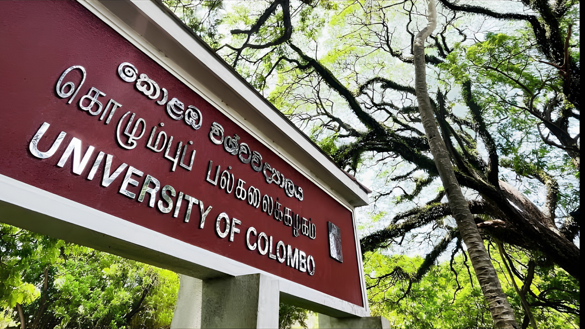 ucsc-msc